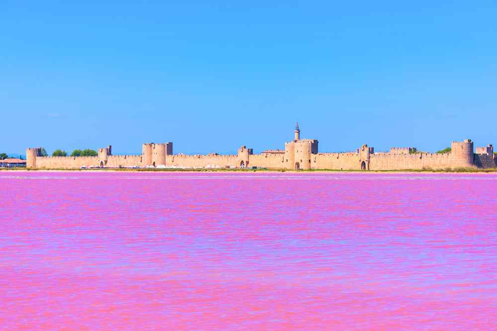 Le Salin d'Aigues Mortes