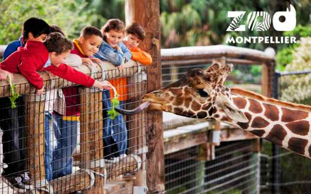 Zoo de Montpellier